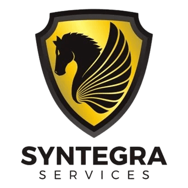Syntegra Services logo
